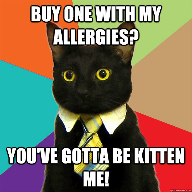 Buy one with my allergies? you've gotta be kitten me!  Business Cat