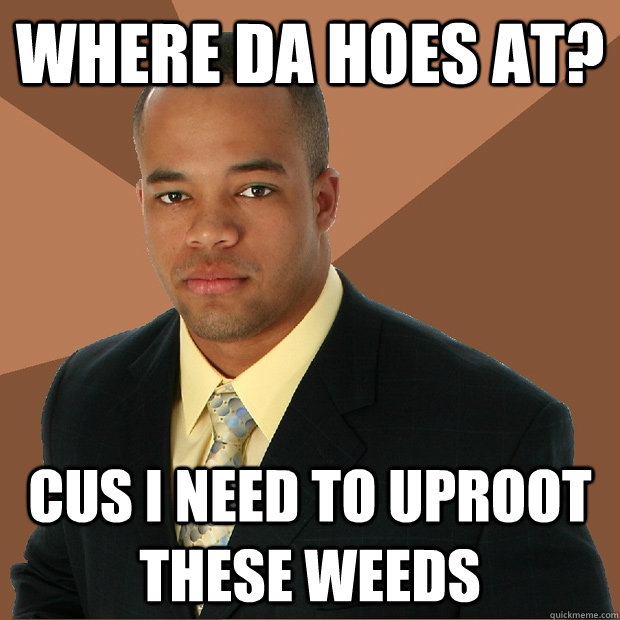 Where da hoes at? cus i need to uproot these weeds  Successful Black Man