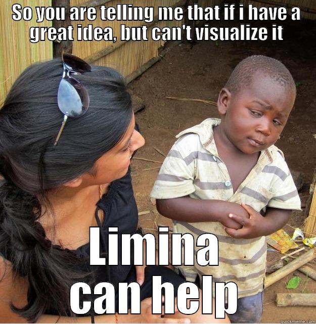 SO YOU ARE TELLING ME THAT IF I HAVE A GREAT IDEA, BUT CAN'T VISUALIZE IT LIMINA CAN HELP Skeptical Third World Kid