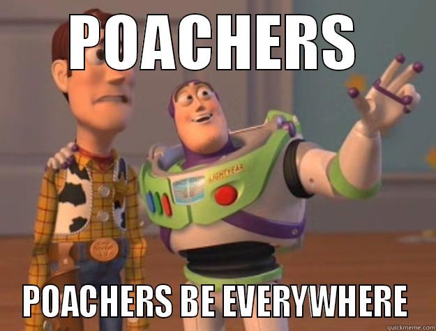 POACHERS ON THE HOOSE - POACHERS POACHERS BE EVERYWHERE Toy Story