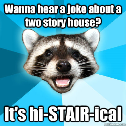 Wanna hear a joke about a two story house? It's hi-STAIR-ical  Lame Pun Coon