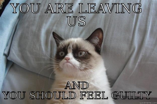 Kate's leaving curse - YOU ARE LEAVING US AND YOU SHOULD FEEL GUILTY Grumpy Cat