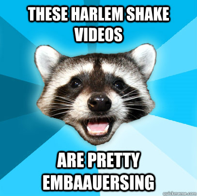 THESE HARLEM SHAKE VIDEOS ARE PRETTY EMBAAUERSING  - THESE HARLEM SHAKE VIDEOS ARE PRETTY EMBAAUERSING   Lame Pun Coon