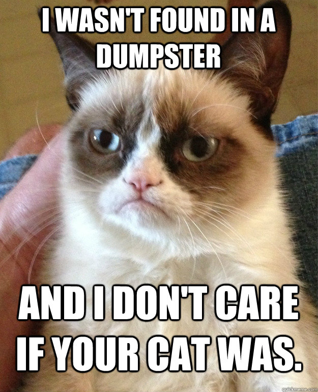 I wasn't found in a dumpster And I don't care if your cat was.  Grumpy Cat