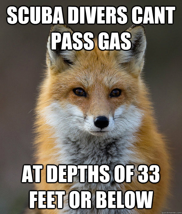 Scuba divers cant pass gas at depths of 33 feet or below  Fun Fact Fox