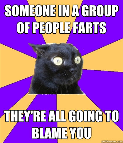 someone in a group of people farts they're all going to blame you  Anxiety Cat