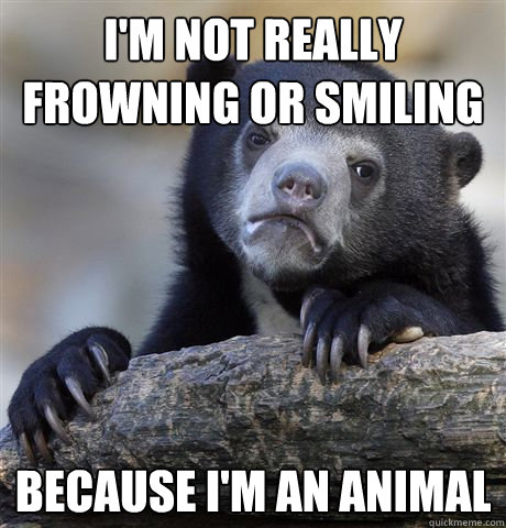 I'm not really frowning or smiling Because I'm an animal  Confession Bear