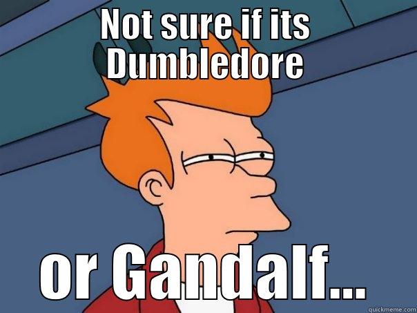 NOT SURE IF ITS DUMBLEDORE OR GANDALF... Futurama Fry