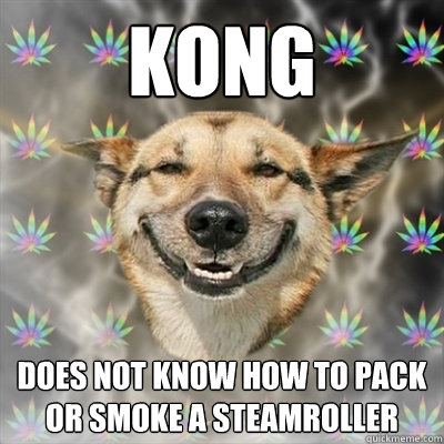 KONG DOES NOT KNOW HOW TO PACK OR SMOKE A STEAMROLLER - KONG DOES NOT KNOW HOW TO PACK OR SMOKE A STEAMROLLER  Stoner Dog