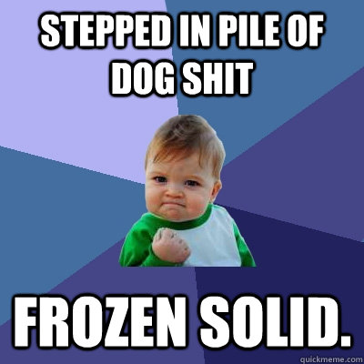 Stepped in pile of dog shit frozen solid.  Success Kid