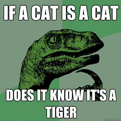 If a cat is a cat does it know it's a tiger  Philosoraptor