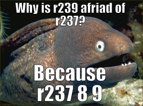 WHY IS R239 AFRIAD OF R237? BECAUSE R237 8 9 Bad Joke Eel