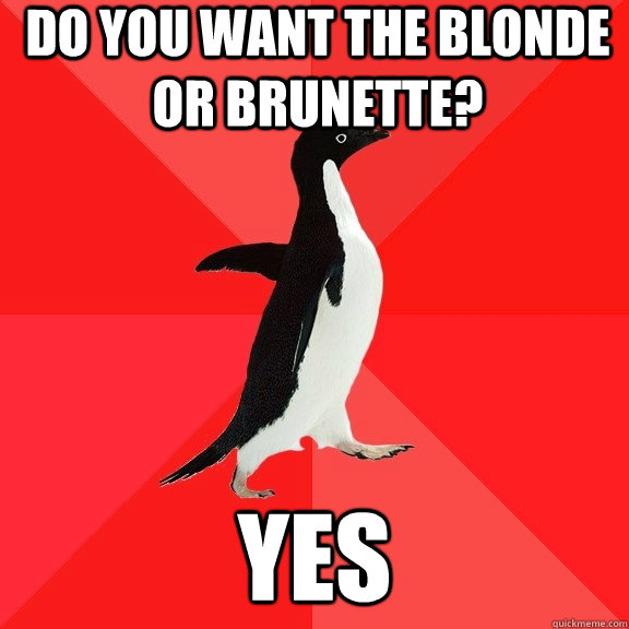 do you want the blonde or brunette? yes - do you want the blonde or brunette? yes  Socially Awesome Penguin