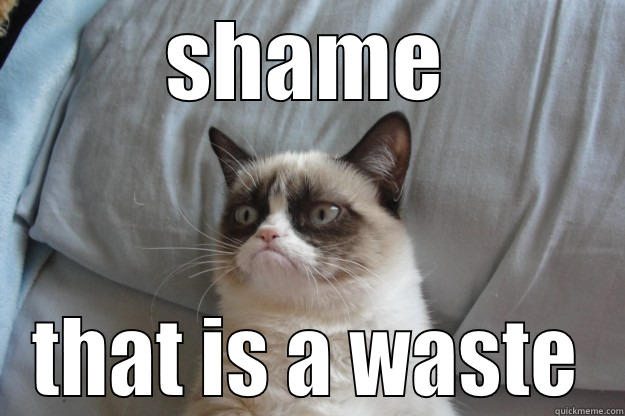 shame that is a waste - SHAME THAT IS A WASTE Grumpy Cat