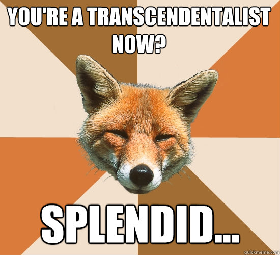 You're a transcendentalist now?
 Splendid...  Condescending Fox