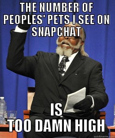 THE NUMBER OF PEOPLES' PETS I SEE ON SNAPCHAT IS TOO DAMN HIGH The Rent Is Too Damn High