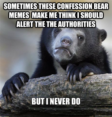 Sometimes these confession bear memes  make me think I should alert the the authorities but I never do  Confession Bear