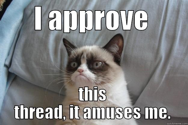 rofl copter - I APPROVE THIS THREAD, IT AMUSES ME. Grumpy Cat