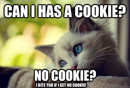 Can I has a cookie? No Cookie? I Bite you if i get nu cookie!  First World Problems Cat