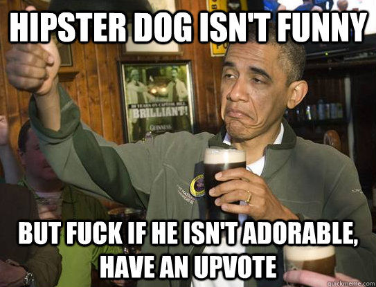 hipster dog isn't funny But fuck if he isn't adorable, have an upvote  Upvoting Obama