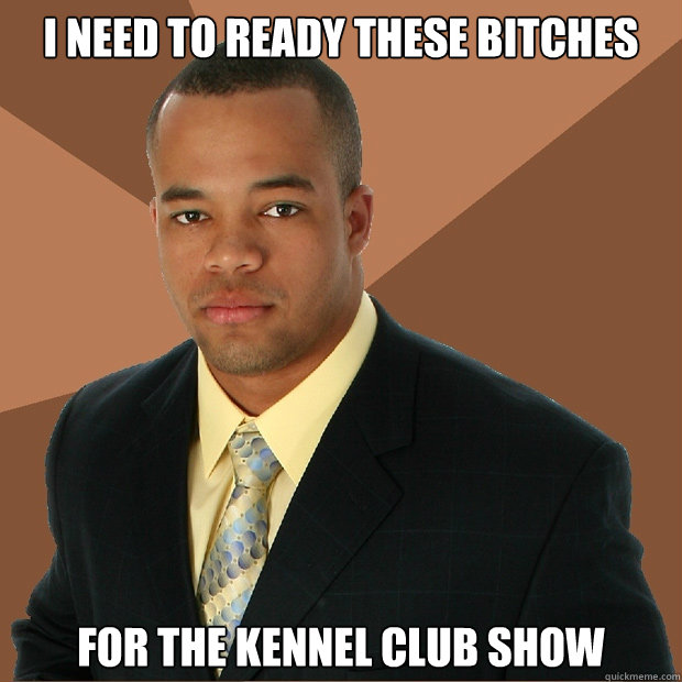 I need to ready these bitches for the kennel club show  Successful Black Man