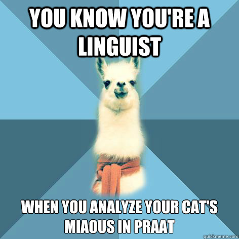 You know you're a linguist when you analyze your cat's miaous in praat  Linguist Llama