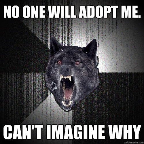 No one will adopt me. can't Imagine why - No one will adopt me. can't Imagine why  Insanity Wolf