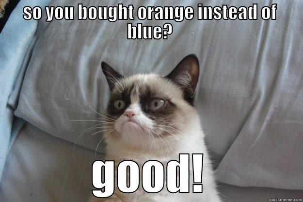 SO YOU BOUGHT ORANGE INSTEAD OF BLUE? GOOD! Grumpy Cat