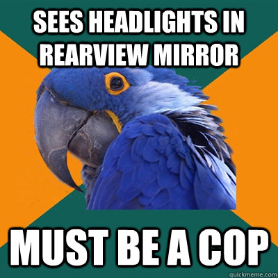 Sees headlights in rearview mirror must be a cop  Paranoid Parrot