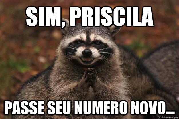 Sim, priscila passe seu numero novo...  Evil Plotting Raccoon