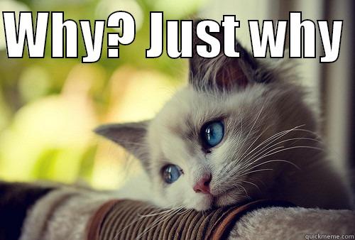 Why? Just why - First World Problems Cat 2 - WHY? JUST WHY   First World Problems Cat