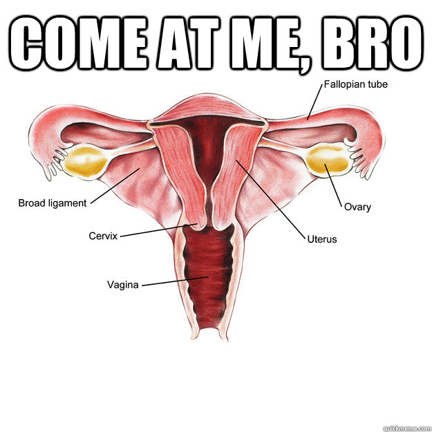 come at me, bro   Scumbag Uterus