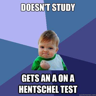 Doesn't study Gets an A on a Hentschel Test - Doesn't study Gets an A on a Hentschel Test  Success Kid