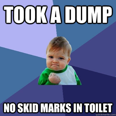 took a dump no skid marks in toilet  Success Kid