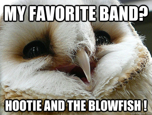 MY FAVORITE BAND? HOOTIE AND THE BLOWFISH !  