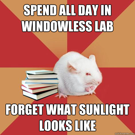 Spend all day in windowless lab Forget what sunlight looks like  Science Major Mouse