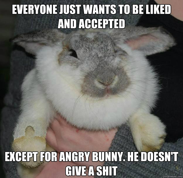 Everyone just wants to be liked and accepted Except for angry bunny. he doesn't give a shit  