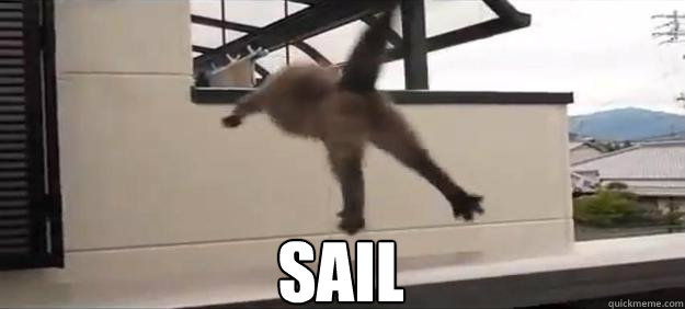 SAIL - SAIL  Sail Cat