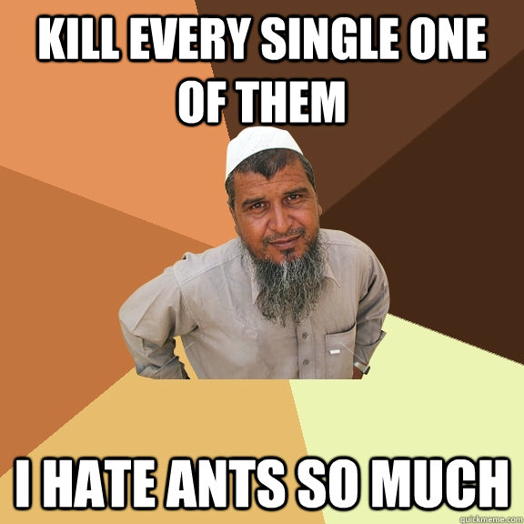 kill every single one of them I hate ants so much  Ordinary Muslim Man