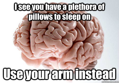 I see you have a plethora of pillows to sleep on Use your arm instead  Scumbag Brain