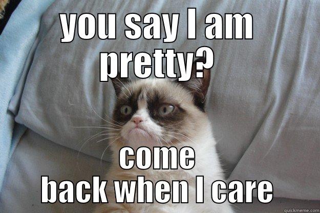 YOU SAY I AM PRETTY? COME BACK WHEN I CARE Grumpy Cat