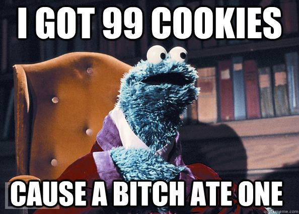 i got 99 cookies cause a bitch ate one  