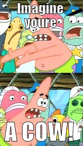 IMAGINE YOURE A COW! Push it somewhere else Patrick