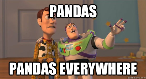 Pandas Pandas everywhere  Toy Story Everywhere