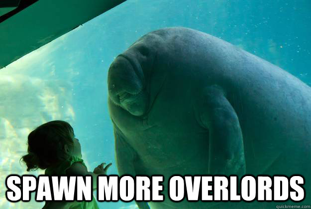  Spawn more overlords -  Spawn more overlords  Overlord Manatee