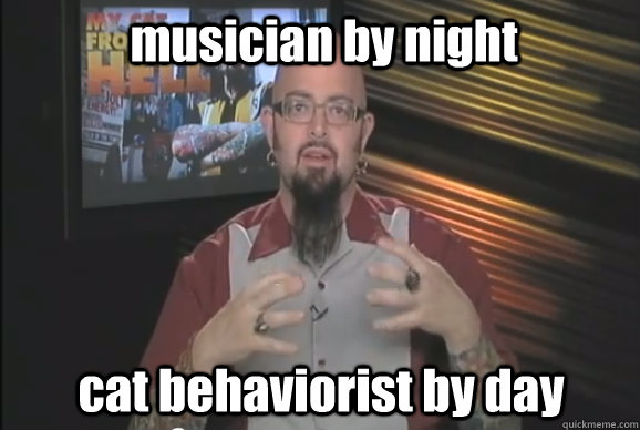 musician by night cat behaviorist by day - musician by night cat behaviorist by day  Jackson Galaxy