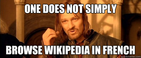 One does not simply browse wikipedia in french  One Does Not Simply