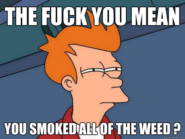 The Fuck You Mean  You Smoked All Of The Weed ?  Futurama Fry