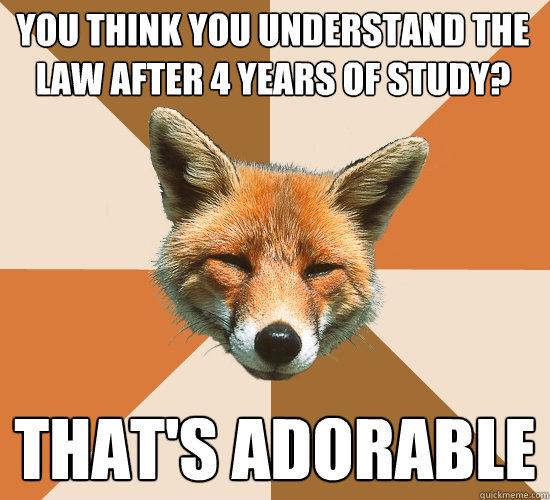 You think you understand the law after 4 years of study?
 That's adorable  Condescending Fox