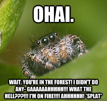 Ohai.  Wait, you're in the forest! I didn't do any- GAAAAAAHHHHH!!! WHAT THE HELL???!!! I'M ON FIRE!!!! AHHHHHH! *Splat*  Misunderstood Spider